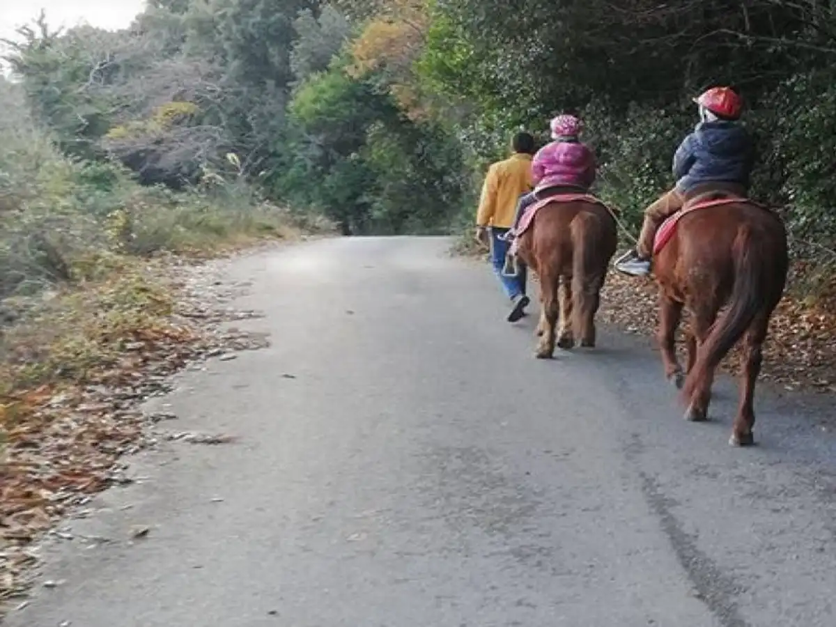 Enjoy a Horseback Riding Adventure