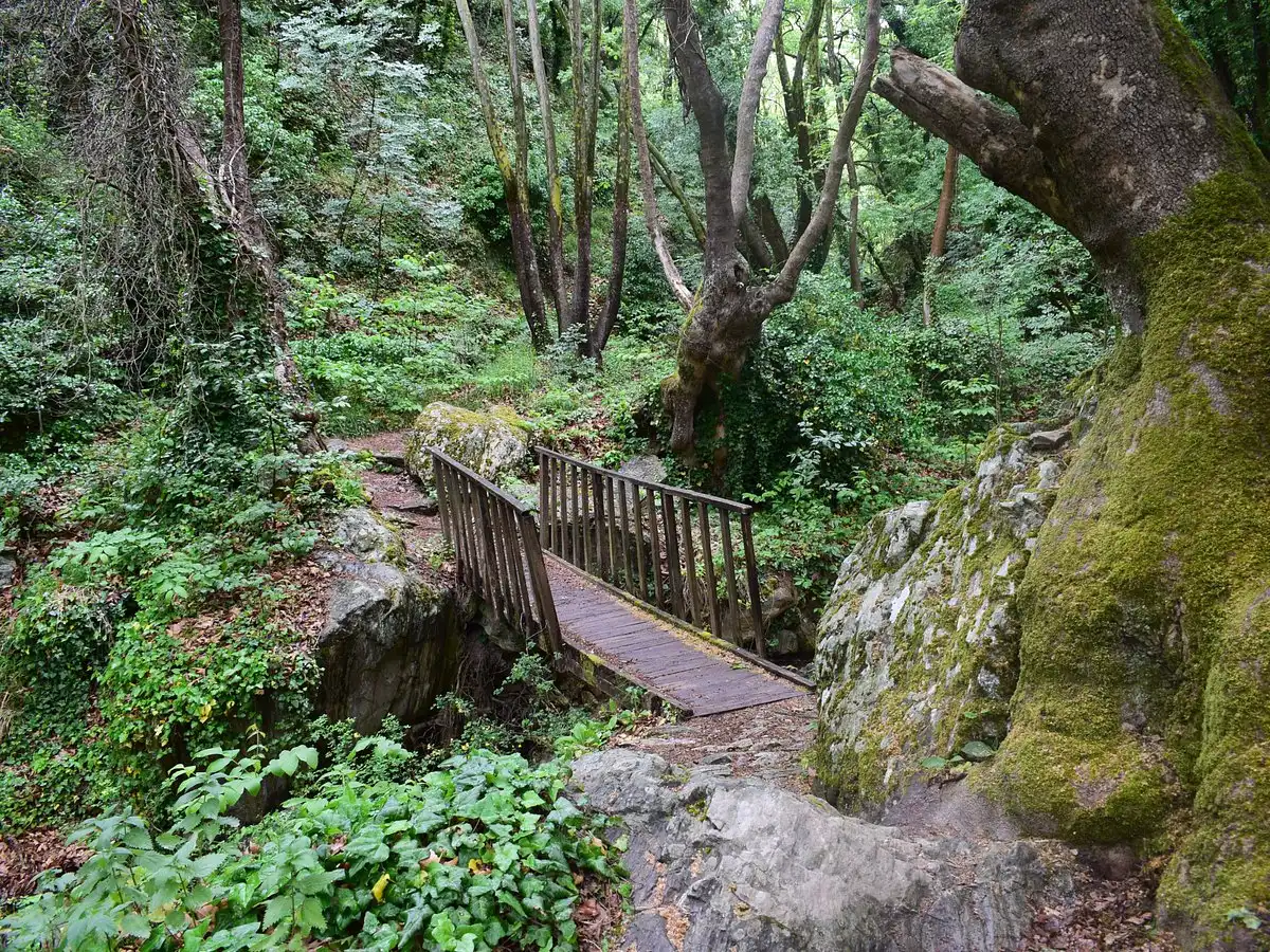 Things to Do - Hike Scenic Trails Around Makrinitsa